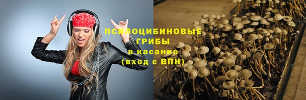 МДПВ Надым