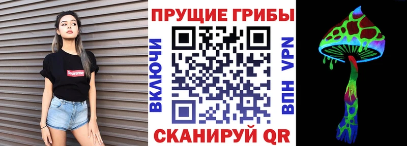 Псилоцибиновые грибы мицелий ОМГ ОМГ сайт дарк нет телеграм Сосновоборск